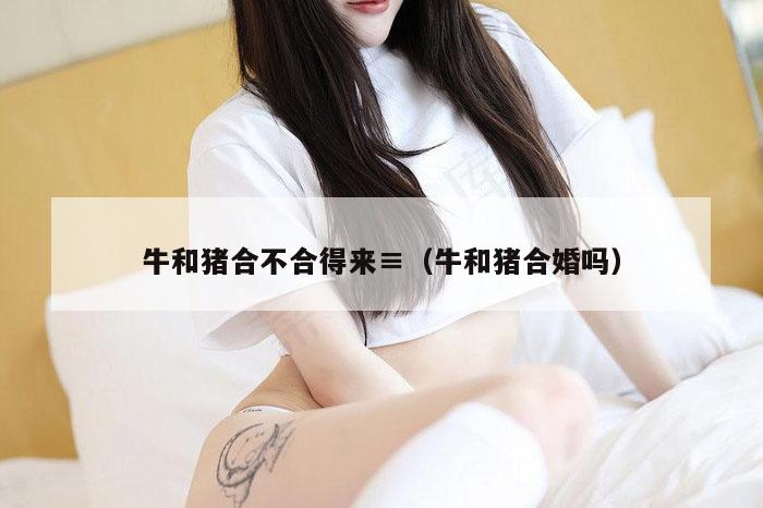 牛和猪合不合得来≡（牛和猪合婚吗）